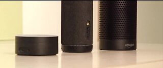 Fake tech support for Alexa