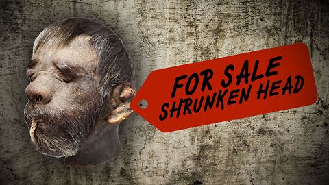 Got 50K to spare? Why not buy a real shrunken head!