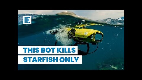 This Bot Hunts Down Starfish ONLY