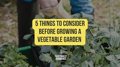 5 Things You Need To Consider Before Growing A Vegetable Garden