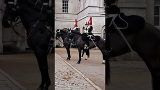 Dismount the horse #horseguardsparade