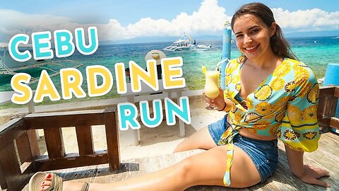 Sardine Run at Panagsama Beach - Moalboal, Cebu