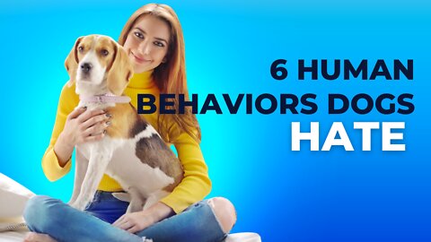 6 Human Behaviors Dogs Hate