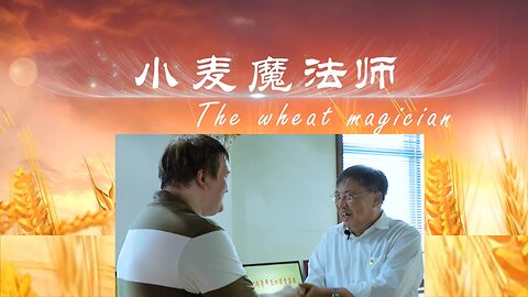 For every 8 steamed buns that Chinese people eat, 1 comes from the wheat he cultivated. Interview with Professor Ru Zhengang