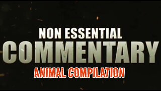 NEC: Animal Compilation