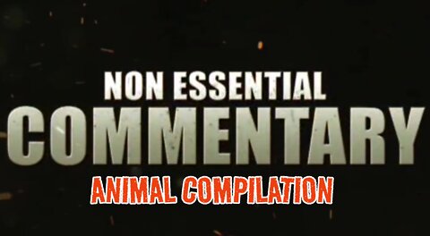 NEC: Animal Compilation