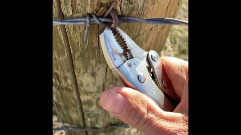 Pocket farm tools for every day carry