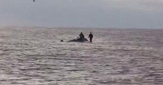 Fisherman find Navy SEALS in water