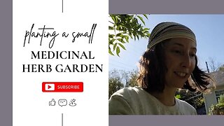 Planting A Small Medicinal Herb Garden