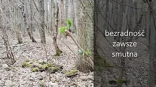 bezradność zawsze smutna