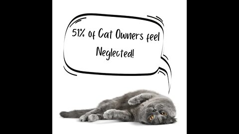 Cat Owners are Neglected!