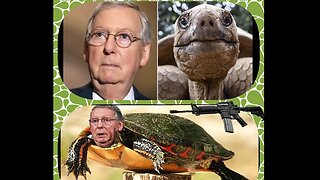 MITCH MCCONNELL FINALLY CENSURED BY GOP FOR CONSPIRING WITH TYRANTS TO INFRINGE ON SECOND AMENDMENT