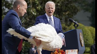 Biden Campaign Puts Out Thanksgiving Anti-MAGA Talking Points That Will Have You Laughing Out Loud