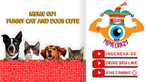 Meme Funny Crazy 001 - Cats and Dogs - memecrazy