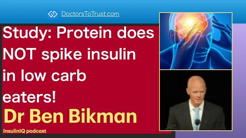 BEN BIKMAN Part 1: Protein does NOT spike insulin in low carb eaters!