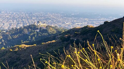 Nature background video MEDITATION - GRIFFITH OBSERVATORY travel video footage, travel cafe