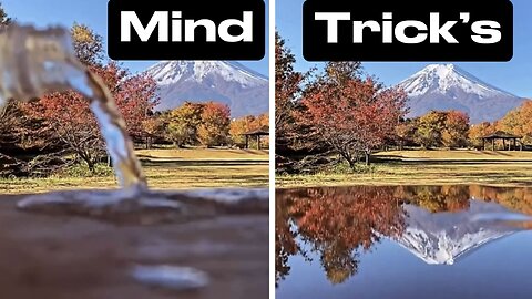 World’s CRAZIEST Optical Illusions!