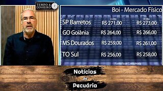 Boi gordo tem mercado travado sem expectativa de alta para arroba