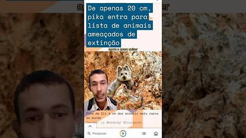 ESSA PIADA RUIM É O BICHO- #shorts #humor #comedia #trend #tiktok #noticias #memes #tentenaorir