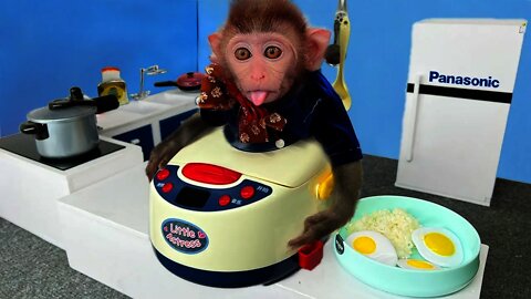 baby monkey animal bi bi | Bim Bim obedient helps dad with housework