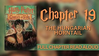 Harry Potter and the Goblet of Fire | Chapter 19: The Hungarian Horntail