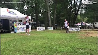 Le "Bottle Cap Challenge", au frisbee et avec un chien!