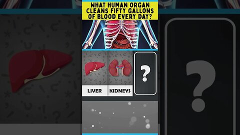 What human organ cleans 50 gallons of blood every day? #shorts #trivia #liver #kidney #stomach