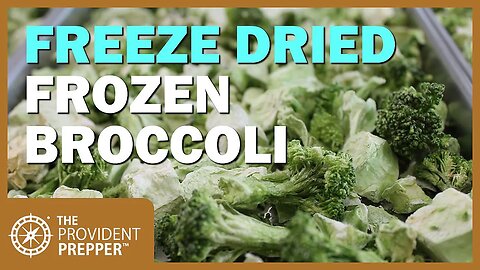 Food Storage: Freeze-Dried Frozen Broccoli