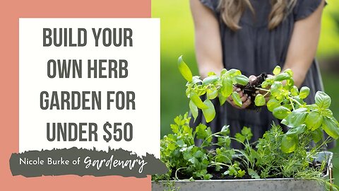 Build Your Own Herb Garden for Under $50