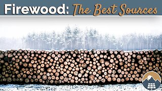 From Forest to Fireplace: Where and How to Find the Best Firewood