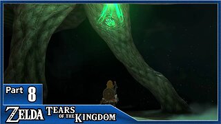 Zelda Tears Of The Kingdom, Part 8 / Camera Work In The Depths, Frox, Passeri Greenbelt Cave