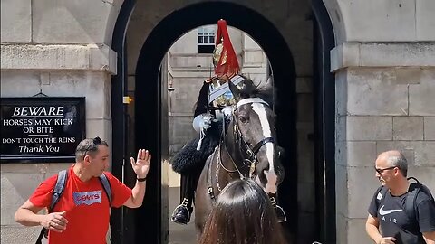 Tourist brags to his friends about grabbing the reins. kings guard used his horse to make him let go