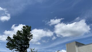 Beautiful trees and cloud