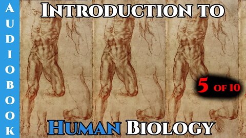 Introduction to human biology Pt.5 of 10 | Humans are Space Orcs | HFY |