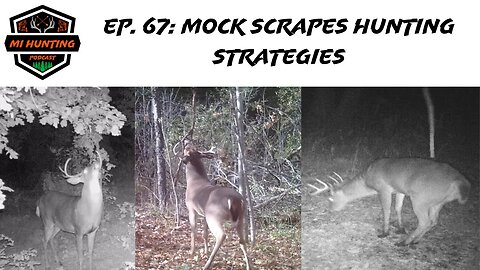 Ep. 67: Mock Scrapes Hunting Strategies