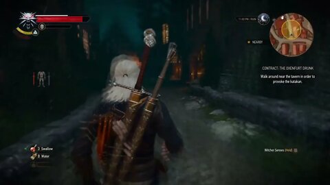 Geralt Beats a Katakan While Hammered (witcher 3)