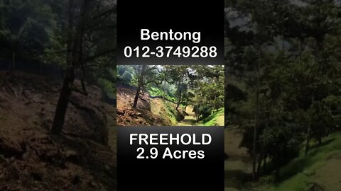 2.9 Acres Bentong Musang King Agriculture FREEHOLD Land for SALE!