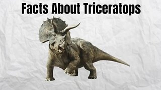 Amazing Facts About Triceratops