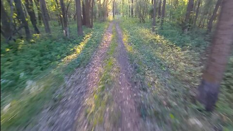 Honda CRF250F Trail Riding #30 ft. Polaris RZR XP 1000