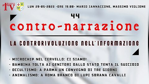 CONTRO-NARRAZIONE NR.44. MARIO IANNACCONE, MASSIMO VIGLIONE.