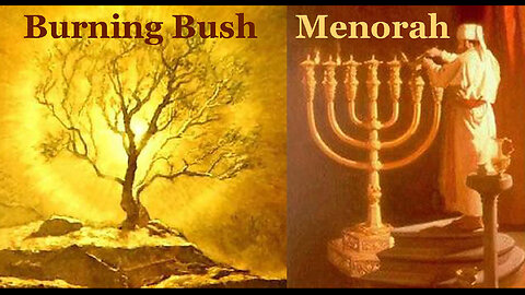The Burning Bush & The Temple Menorah