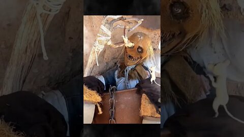 Haunted pumpkin 🎃 hunting at Vulture City. Awesome display! #youtubeshorts #halloween