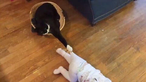 Kid playing with cat and dog funny video 😂