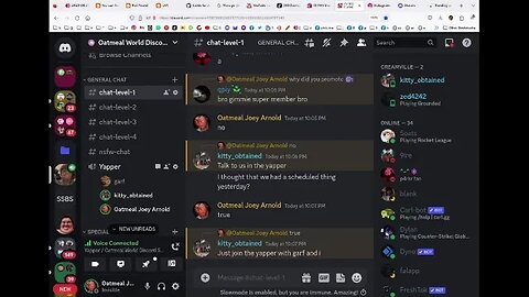 Discord Talk, Some People Tried Nuking My Server