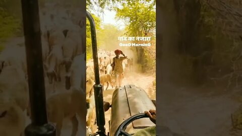 new status ❤👫❤❤❤ || whatsapp status ❤❤❤❤❤❤ #shorts(2)