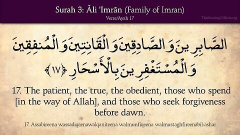 English Quran | Chapter 3 | Surah Ali Imran ( Family of Imran )