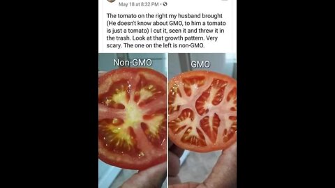 GMO Tuesday...Again Monsanto....