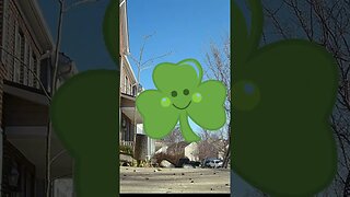 A Shamrock Visits #Shorts ☘