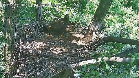 Hays Eagles H20 comes home for a visit and stays for 2 hours! 07-12-2023 13:34