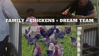 Put Your Chickens to Work for You